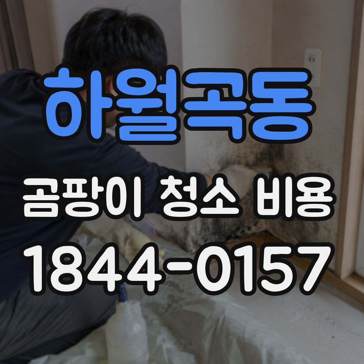 하월곡동 곰팡이 청소 비용
