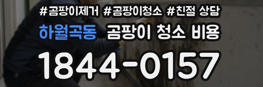 하월곡동 곰팡이 청소 비용