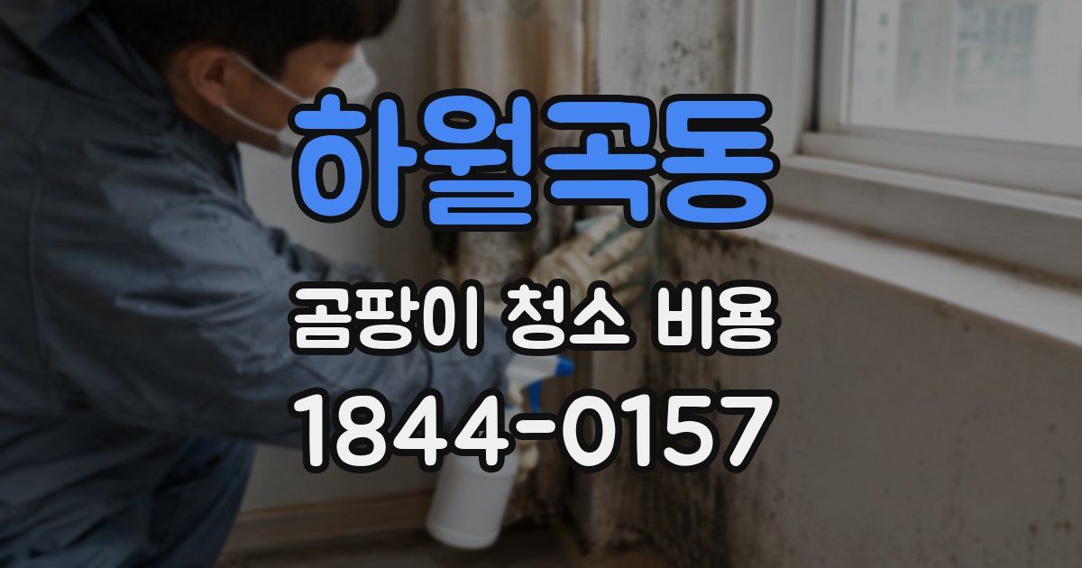 하월곡동 곰팡이 청소 비용