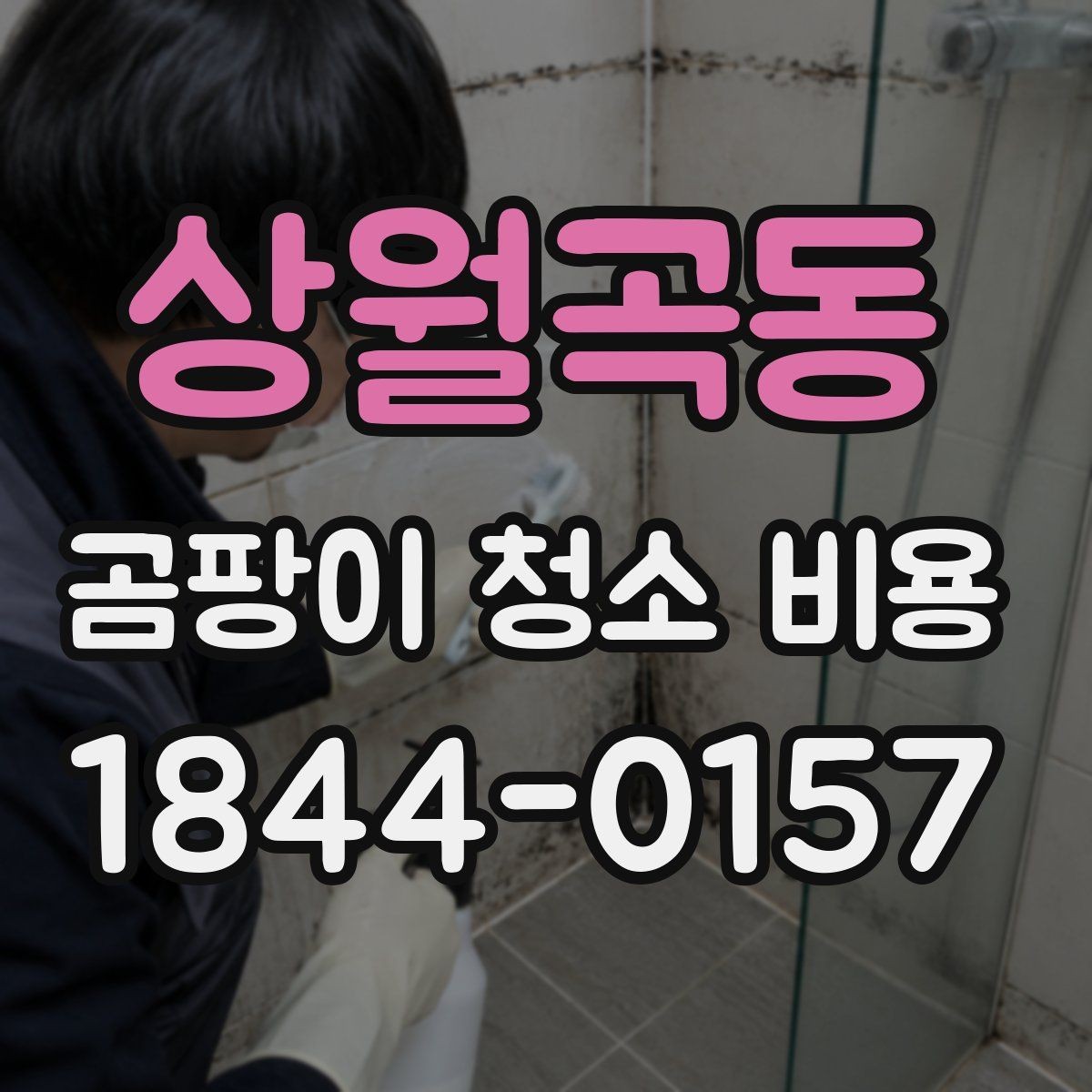 상월곡동 곰팡이 청소 비용 산정에서 제외되는 경우도 있을까