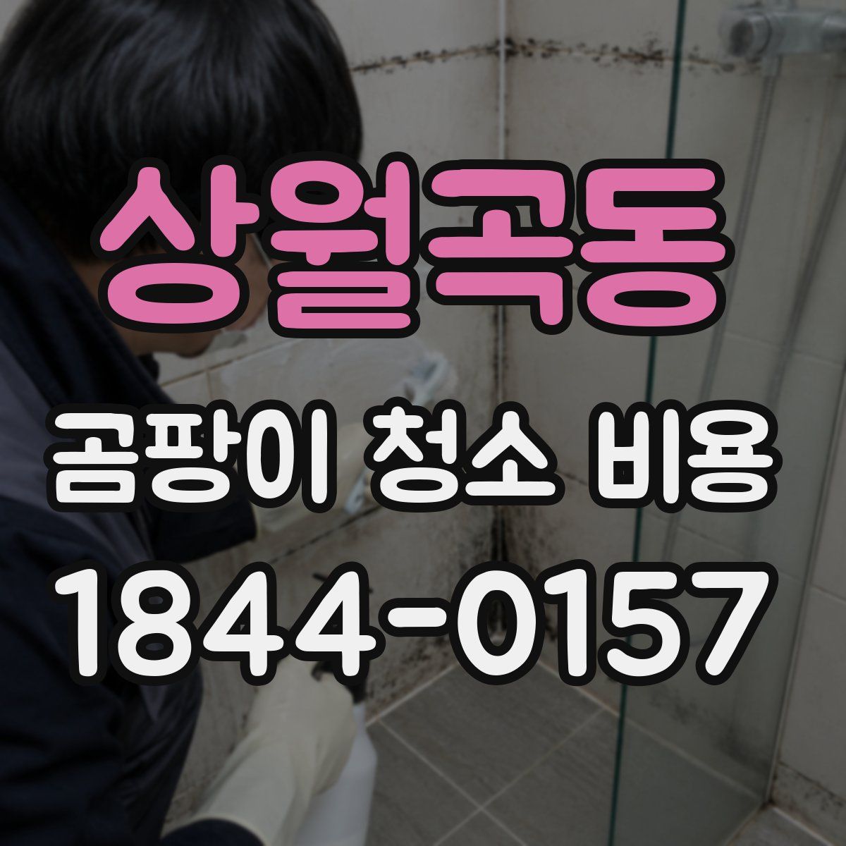 상월곡동 곰팡이 청소 비용