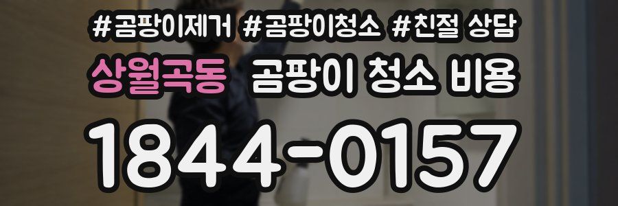 상월곡동 곰팡이 청소 비용
