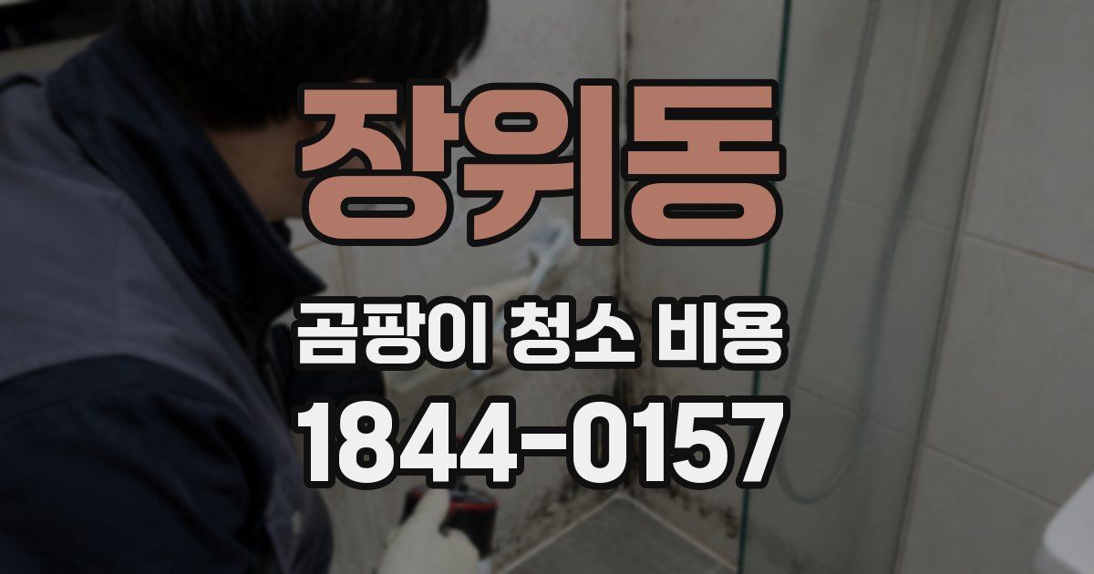 장위동 곰팡이 청소 비용