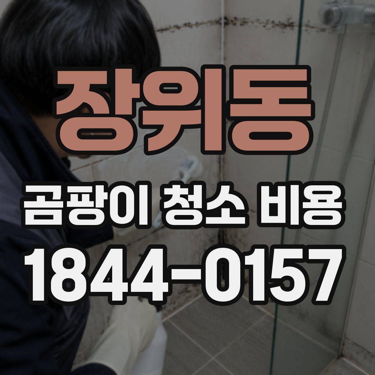 장위동 곰팡이 청소 비용