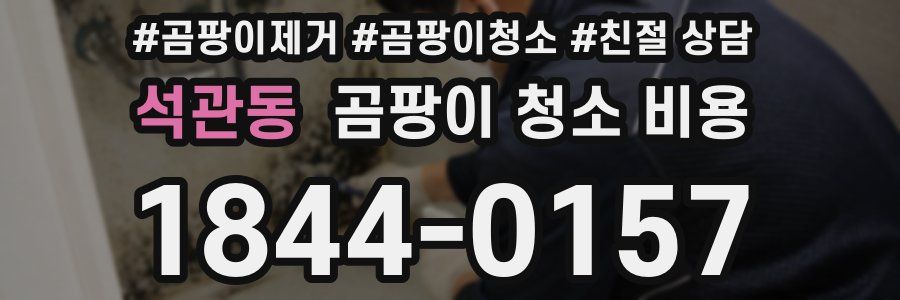 석관동 곰팡이 청소 비용