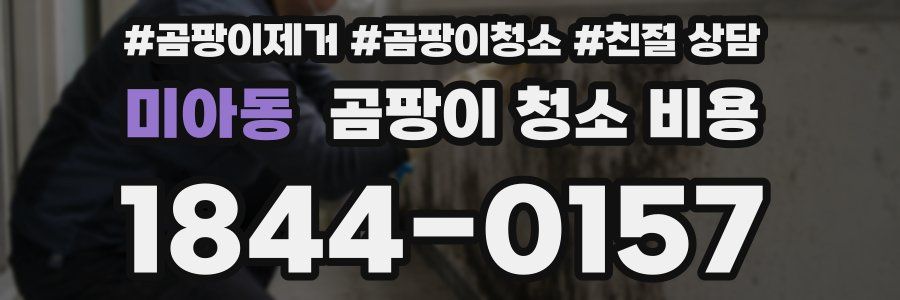 미아동 곰팡이 청소 비용