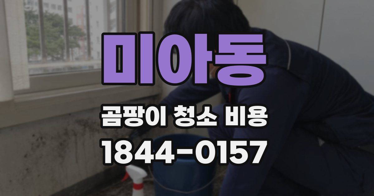 미아동 곰팡이 청소 비용