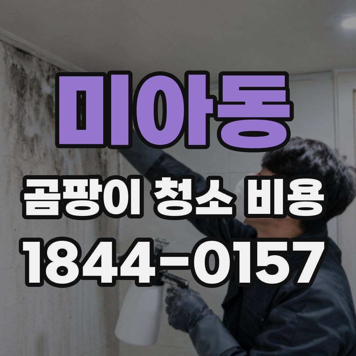 미아동 곰팡이 청소 비용