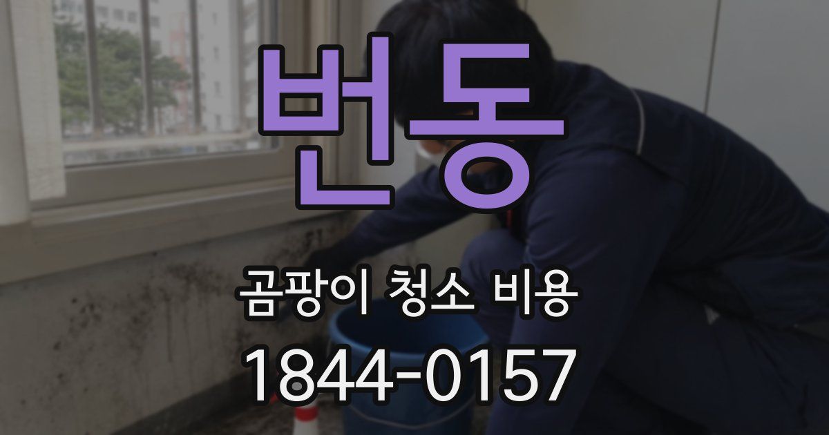 번동 곰팡이 청소 비용