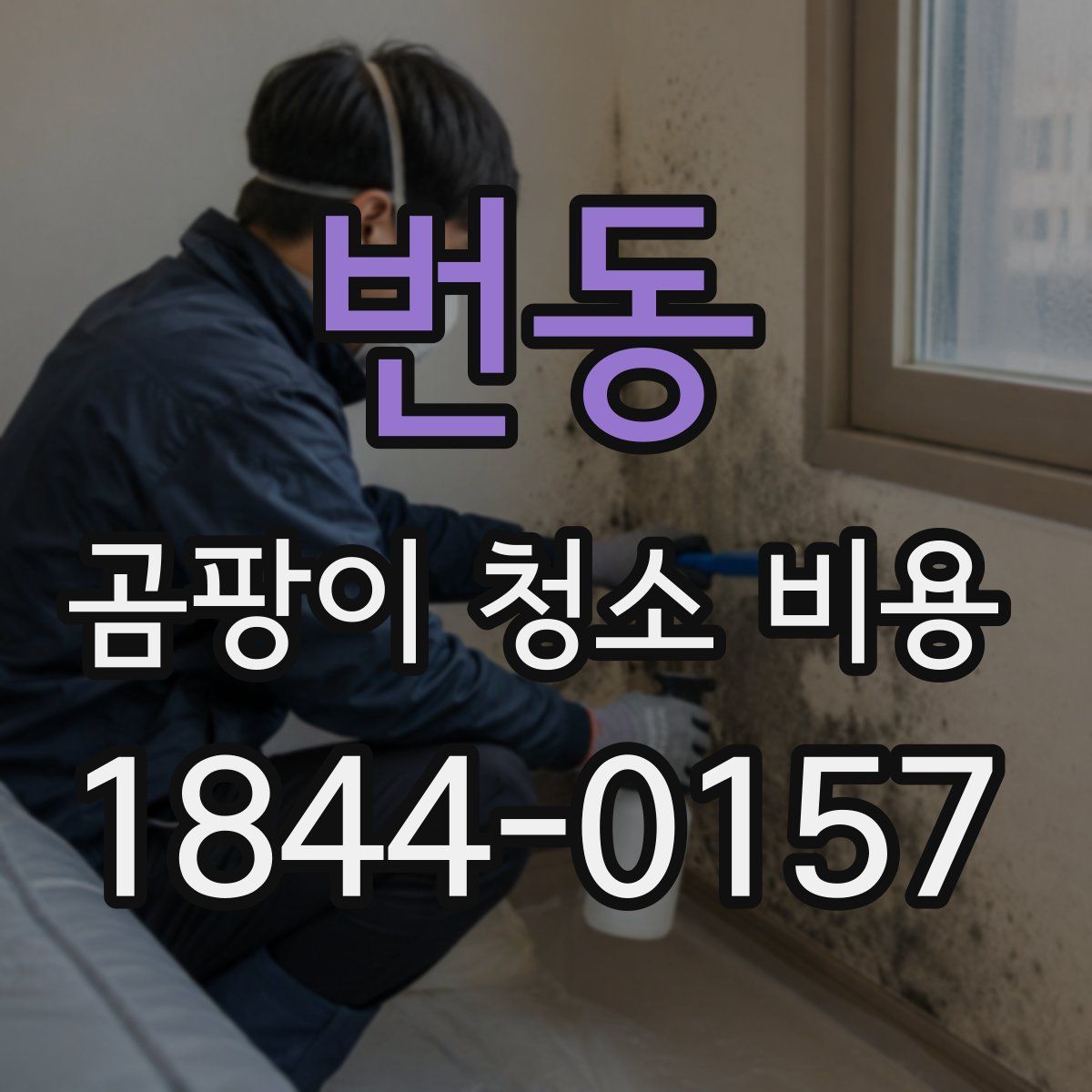번동 곰팡이 청소 비용