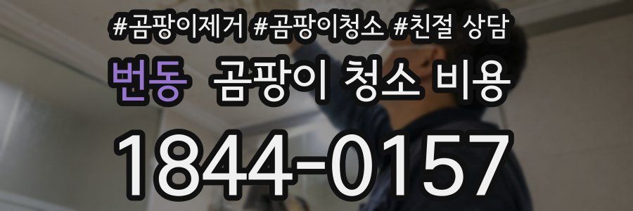 번동 곰팡이 청소 비용