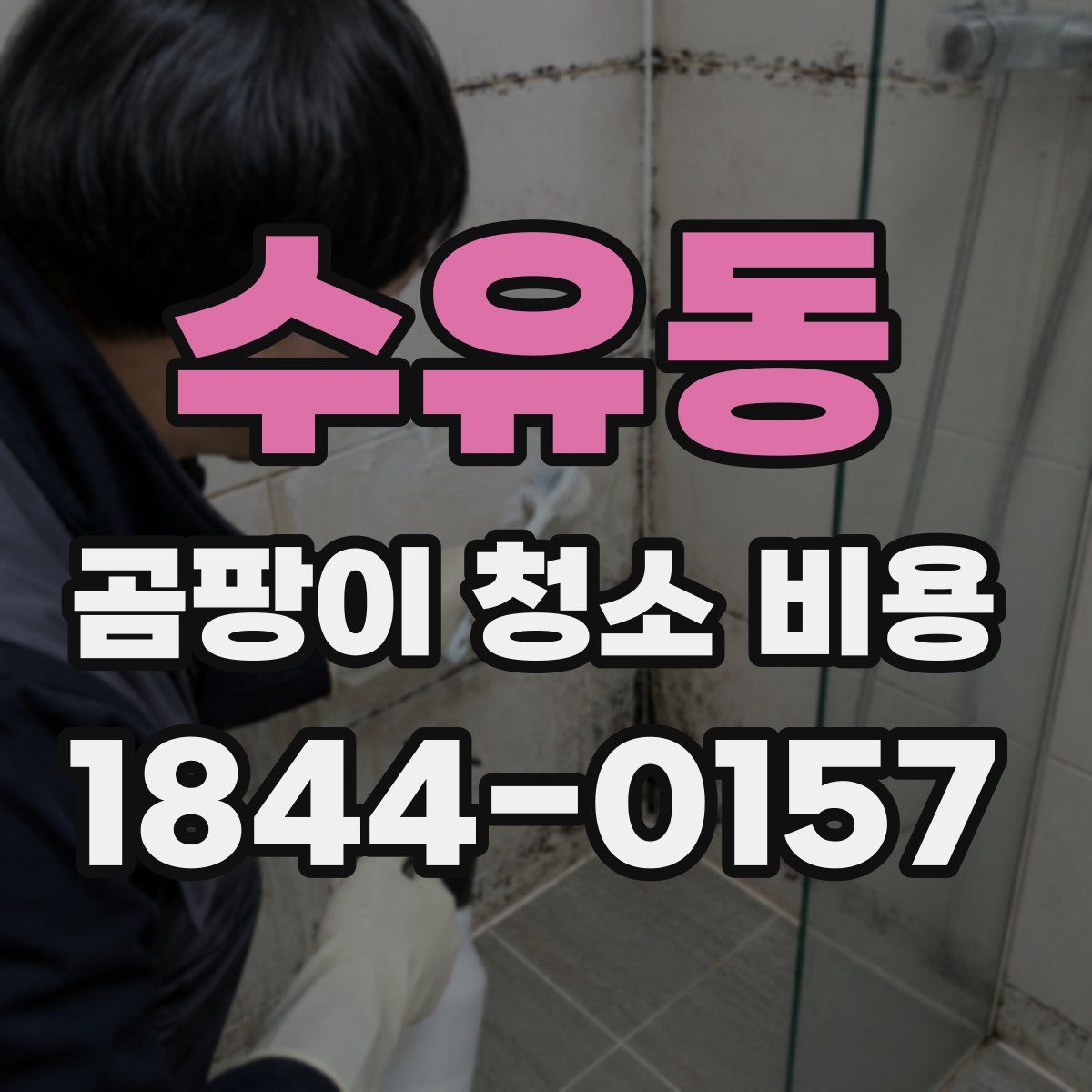 수유동 곰팡이 청소 비용
