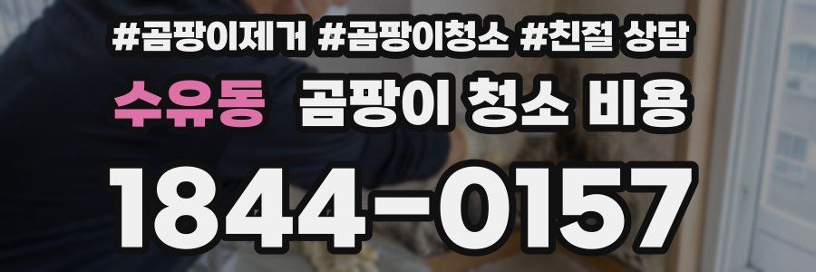 수유동 곰팡이 청소 비용