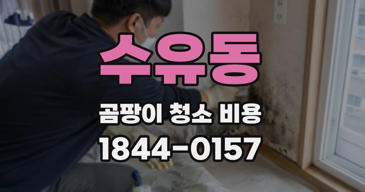 수유동 곰팡이 청소 비용