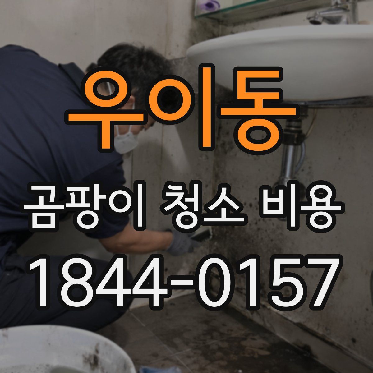 우이동 곰팡이 청소 비용