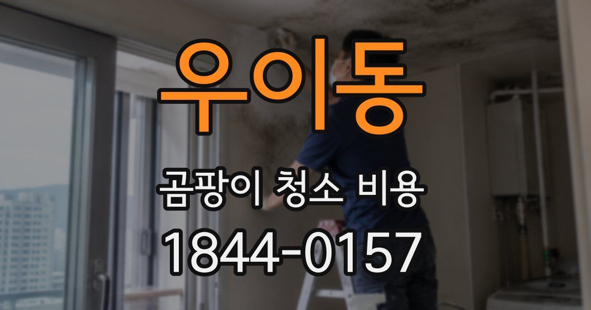 우이동 곰팡이 청소 비용