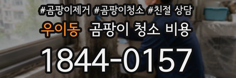 우이동 곰팡이 청소 비용