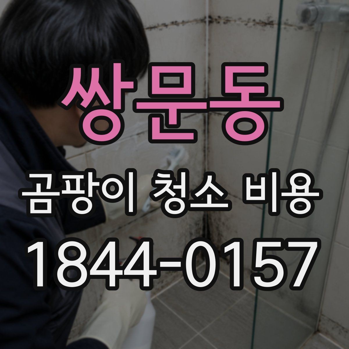쌍문동 곰팡이 청소 비용 선택 전에 알아야 할 서비스 차이