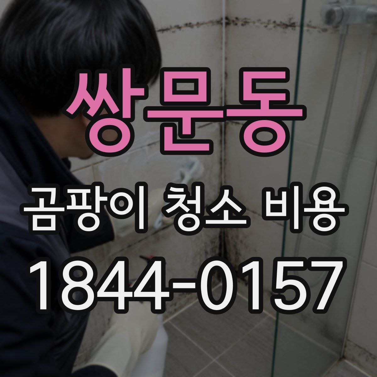 쌍문동 곰팡이 청소 비용
