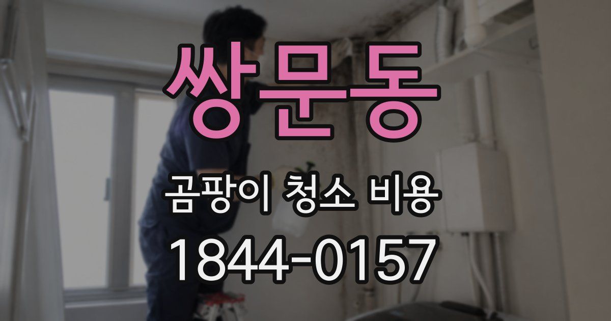쌍문동 곰팡이 청소 비용