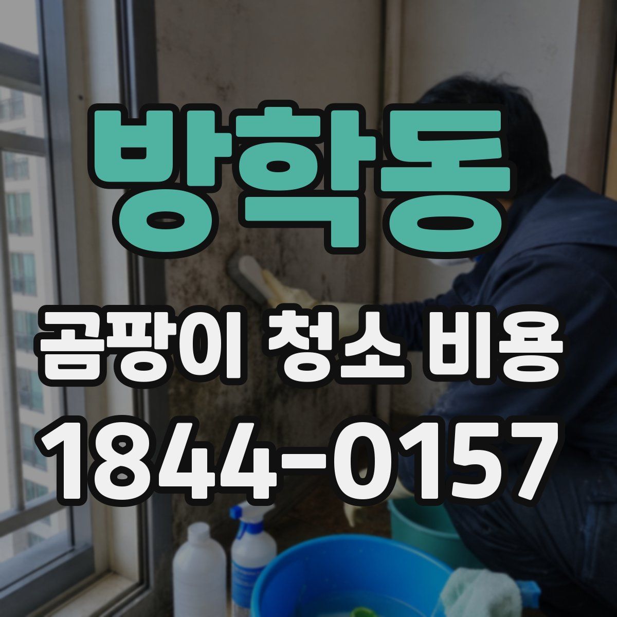 방학동 곰팡이 청소 비용