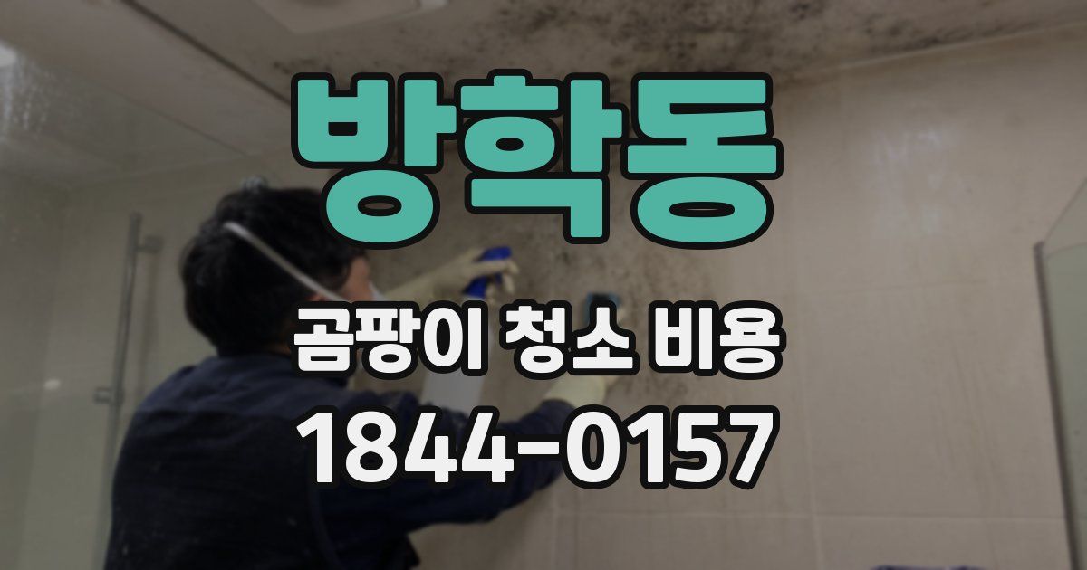 방학동 곰팡이 청소 비용