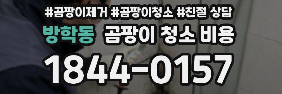 방학동 곰팡이 청소 비용