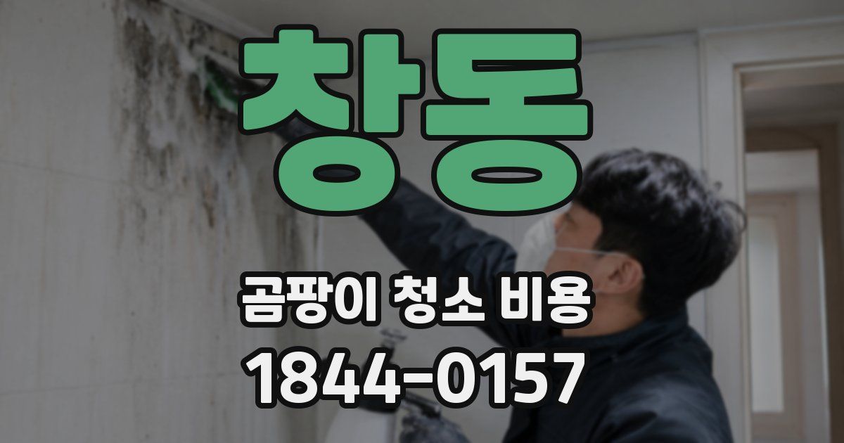 창동 곰팡이 청소 비용