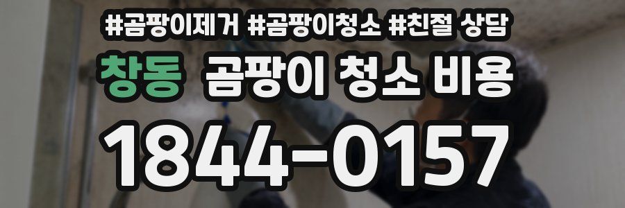 창동 곰팡이 청소 비용