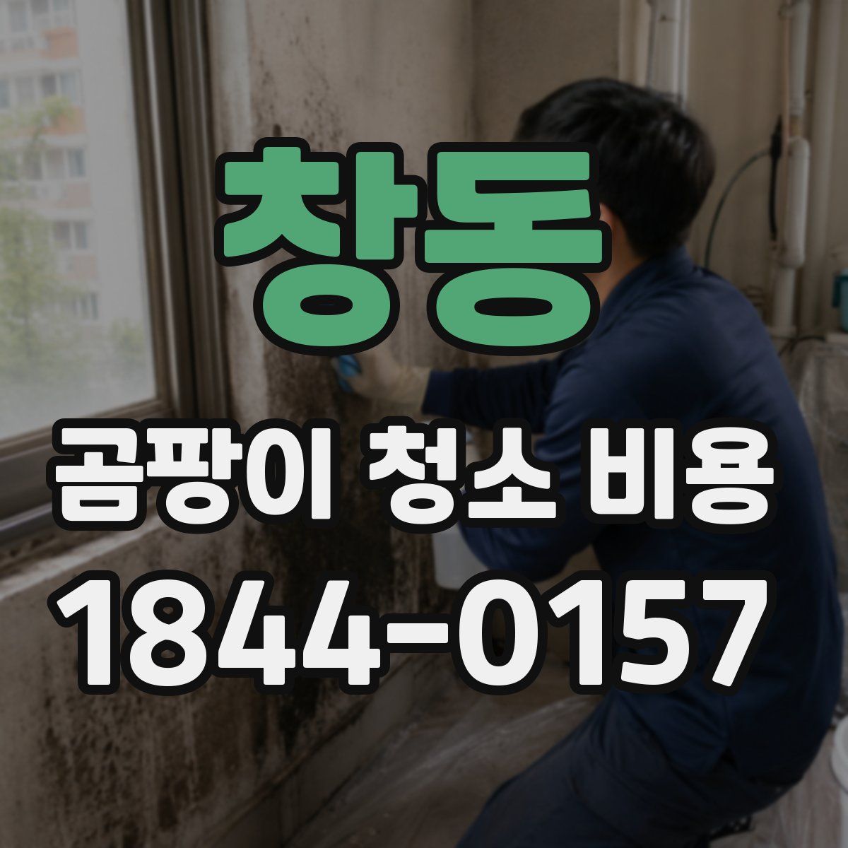 창동 곰팡이 청소 비용