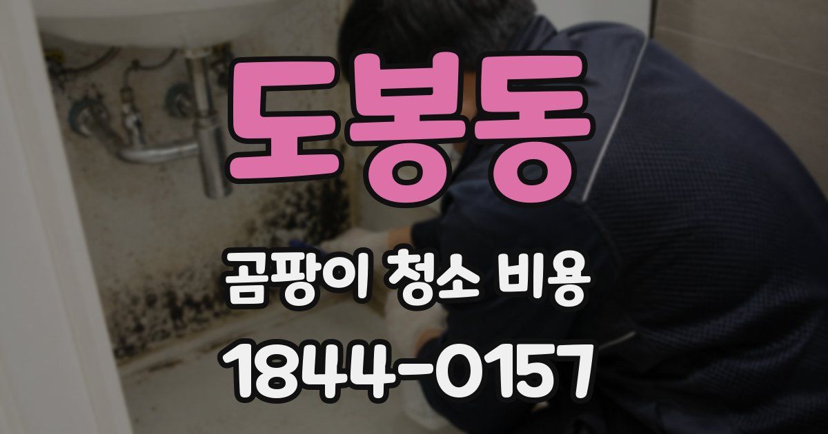 도봉동 곰팡이 청소 비용