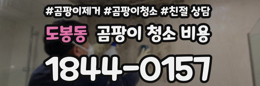 도봉동 곰팡이 청소 비용