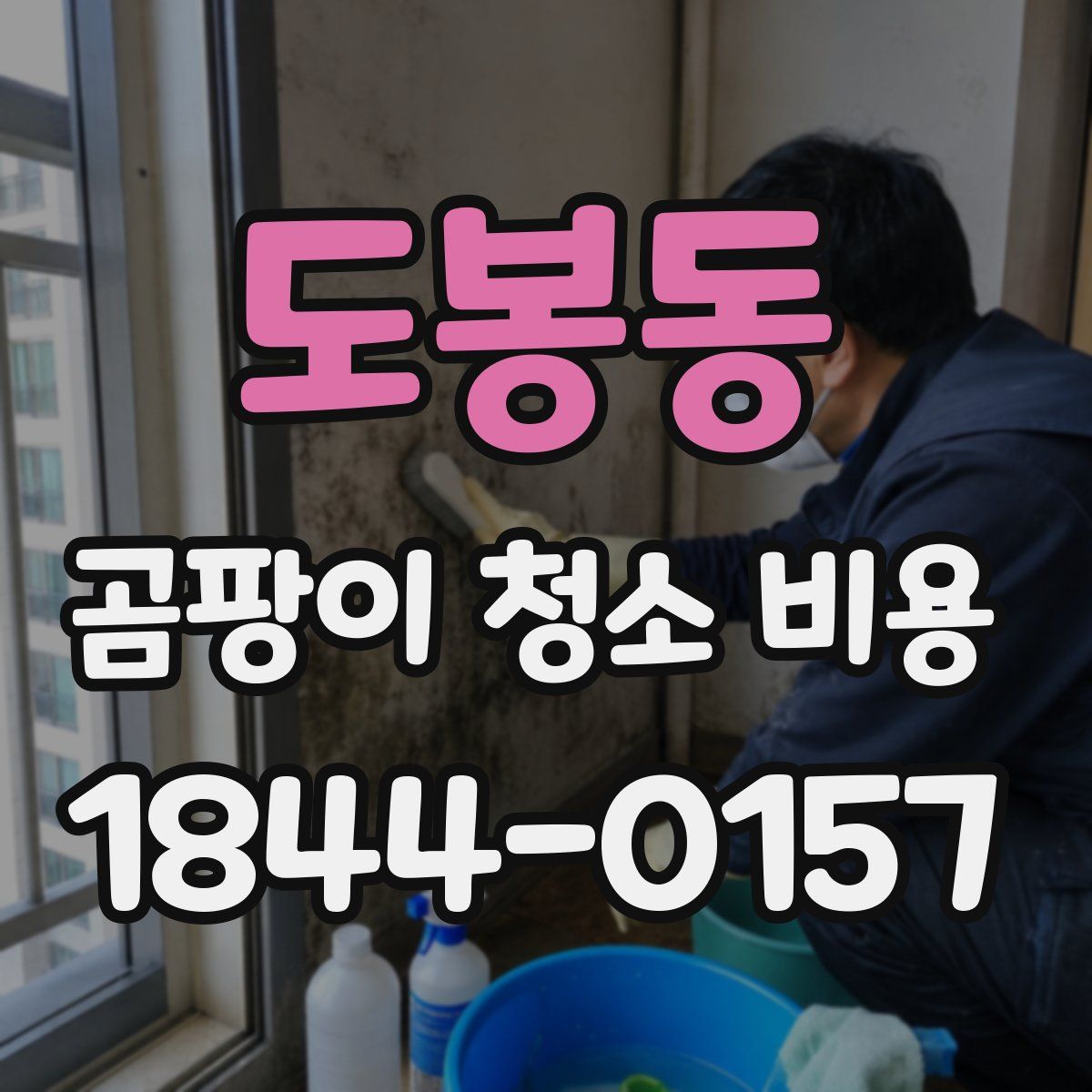 도봉동 곰팡이 청소 비용