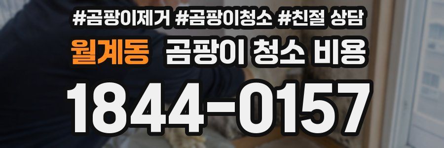월계동 곰팡이 청소 비용
