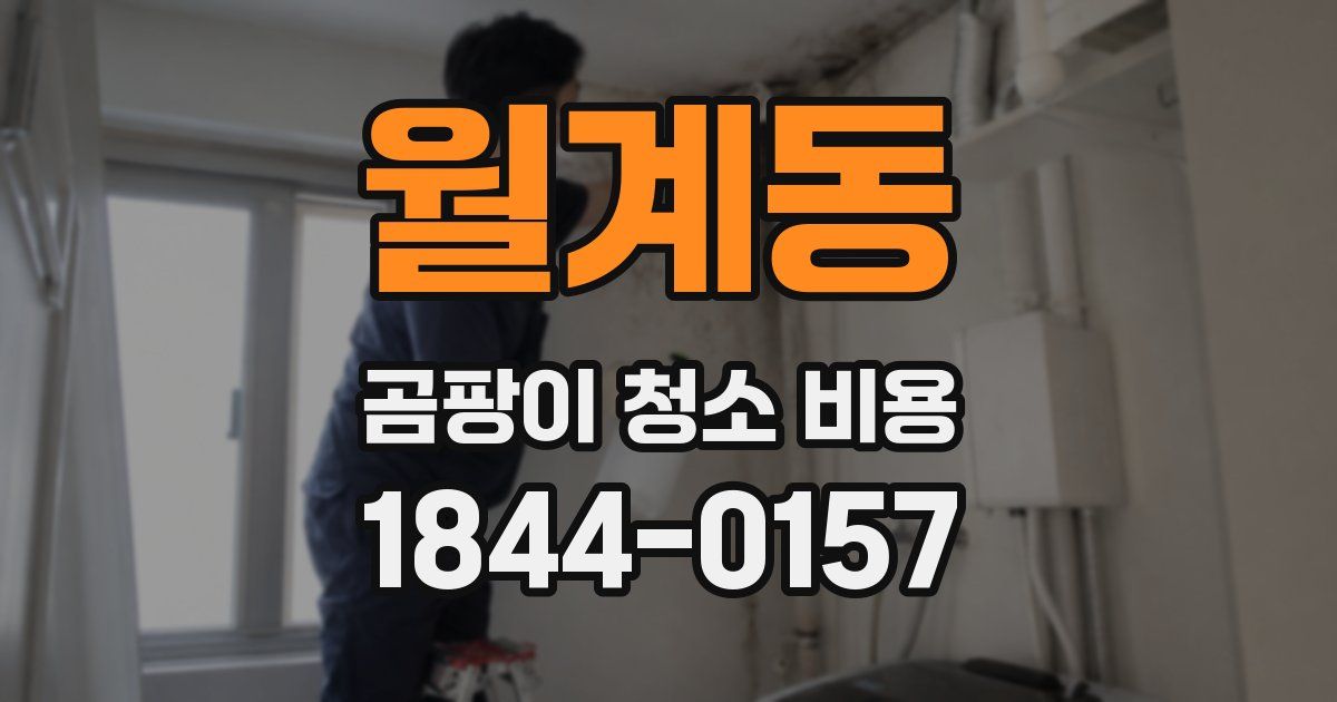 월계동 곰팡이 청소 비용