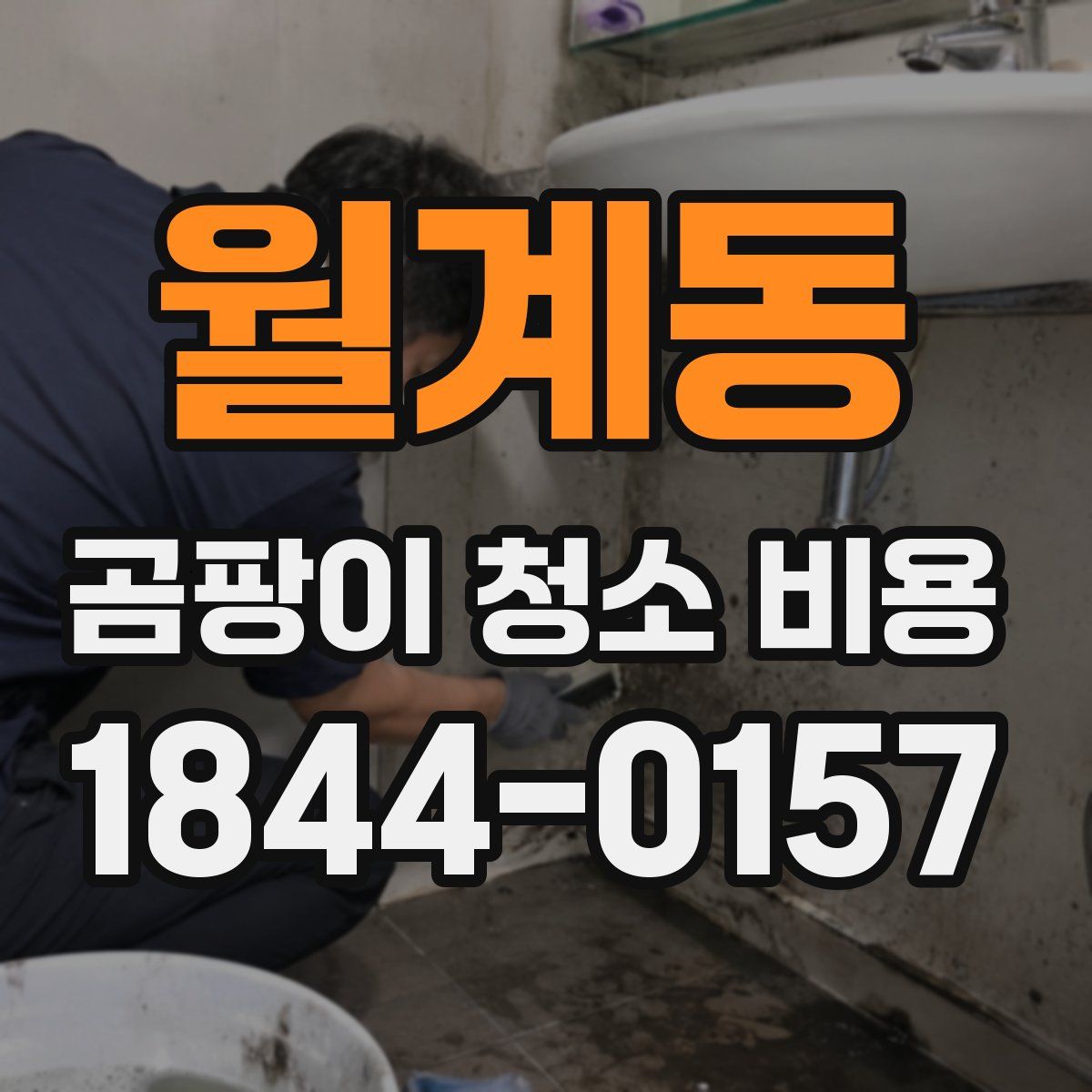 월계동 곰팡이 청소 비용
