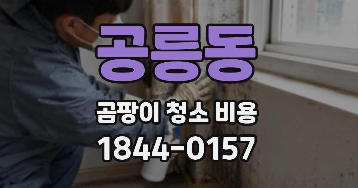 공릉동 곰팡이 청소 비용