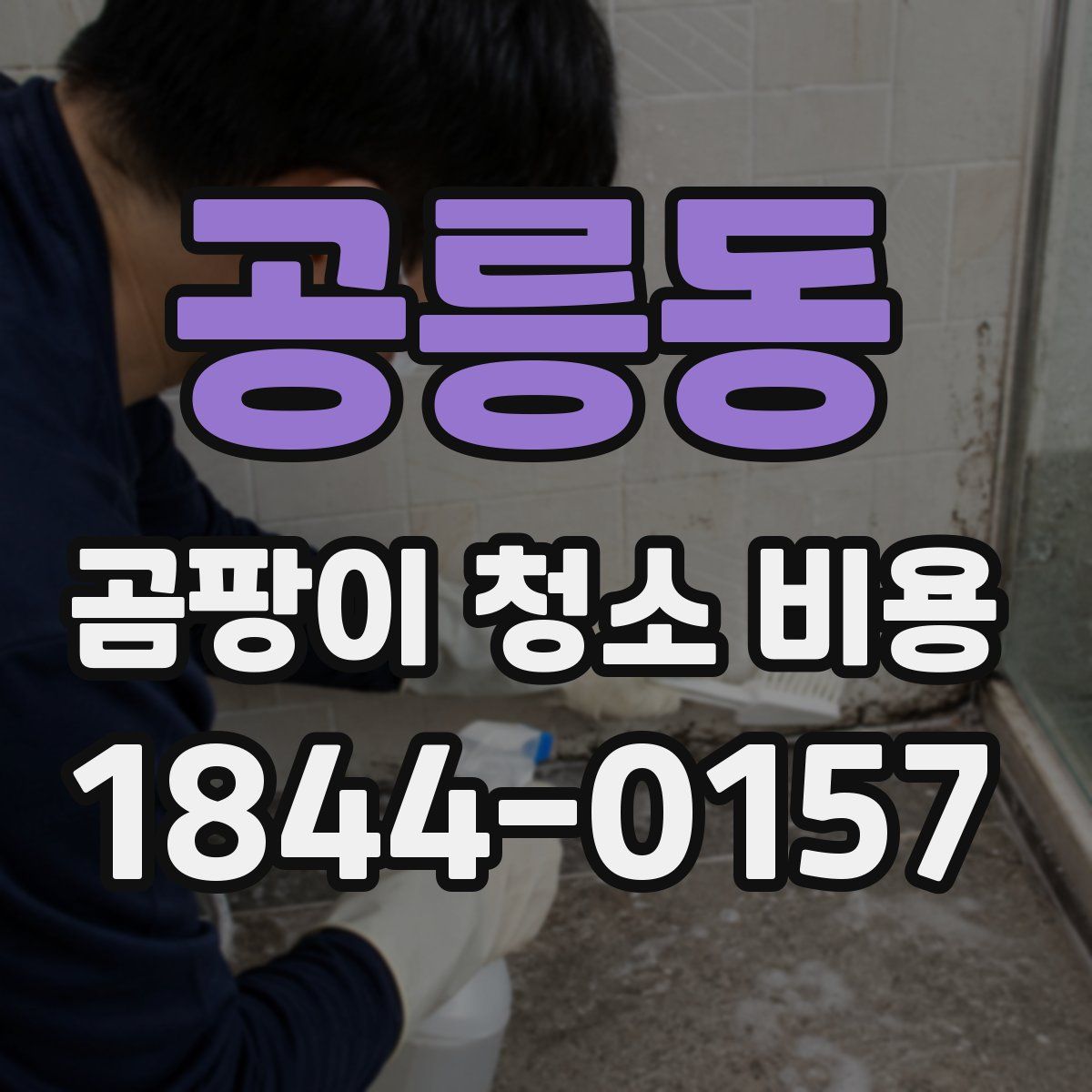 공릉동 곰팡이 청소 비용