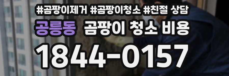 공릉동 곰팡이 청소 비용