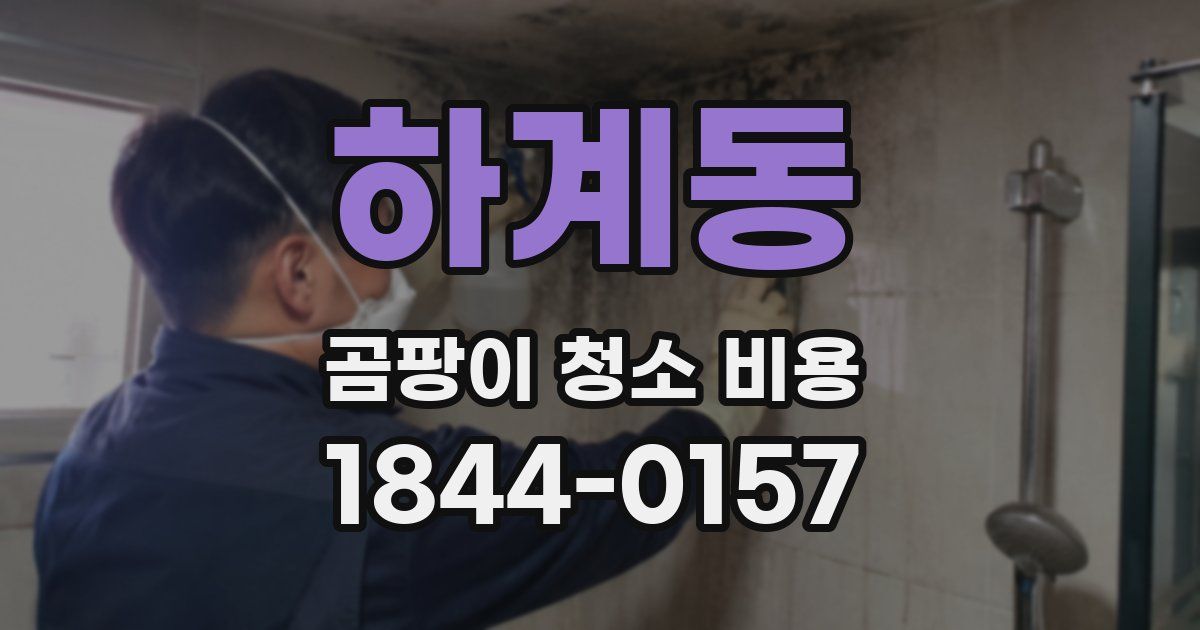 하계동 곰팡이 청소 비용