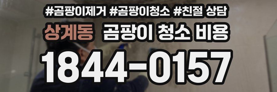 상계동 곰팡이 청소 비용