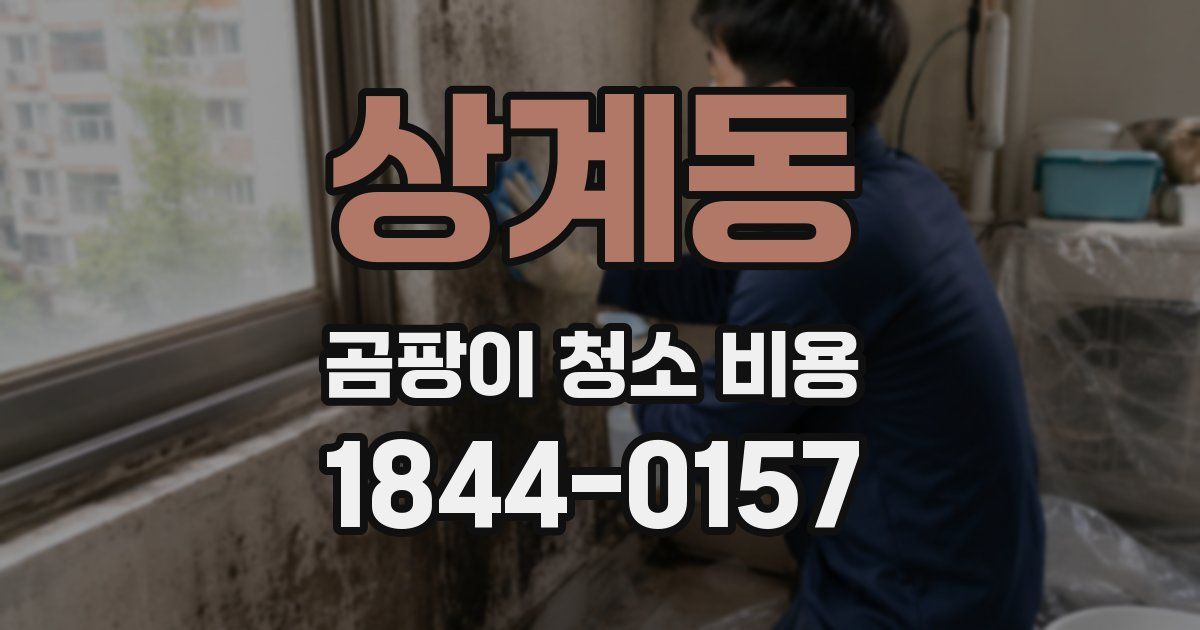상계동 곰팡이 청소 비용
