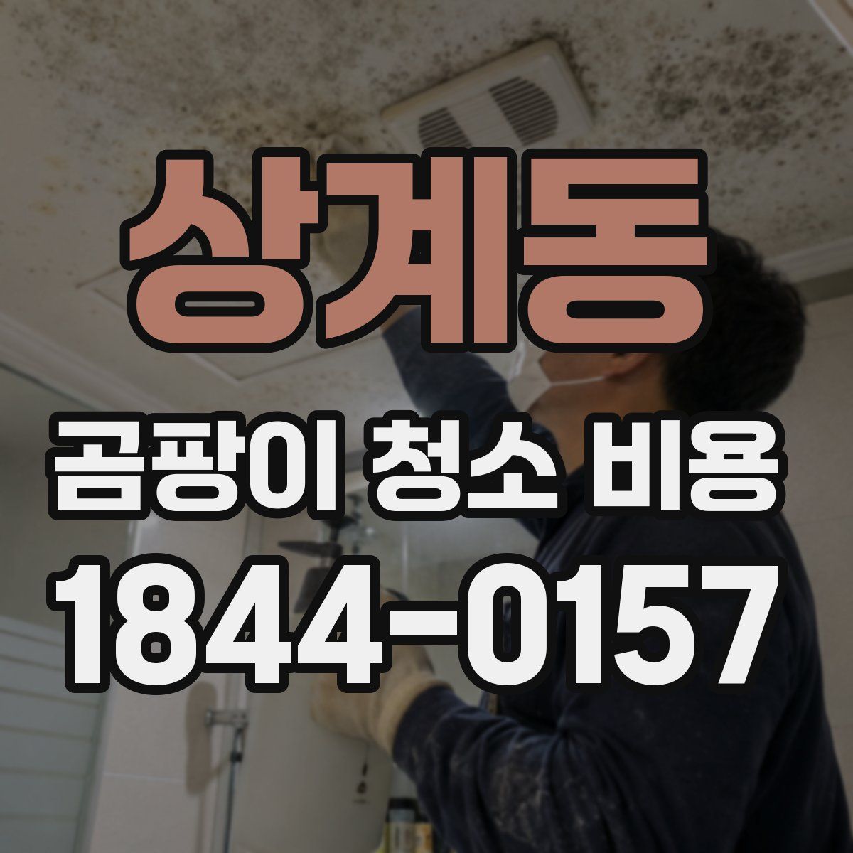 상계동 곰팡이 청소 비용