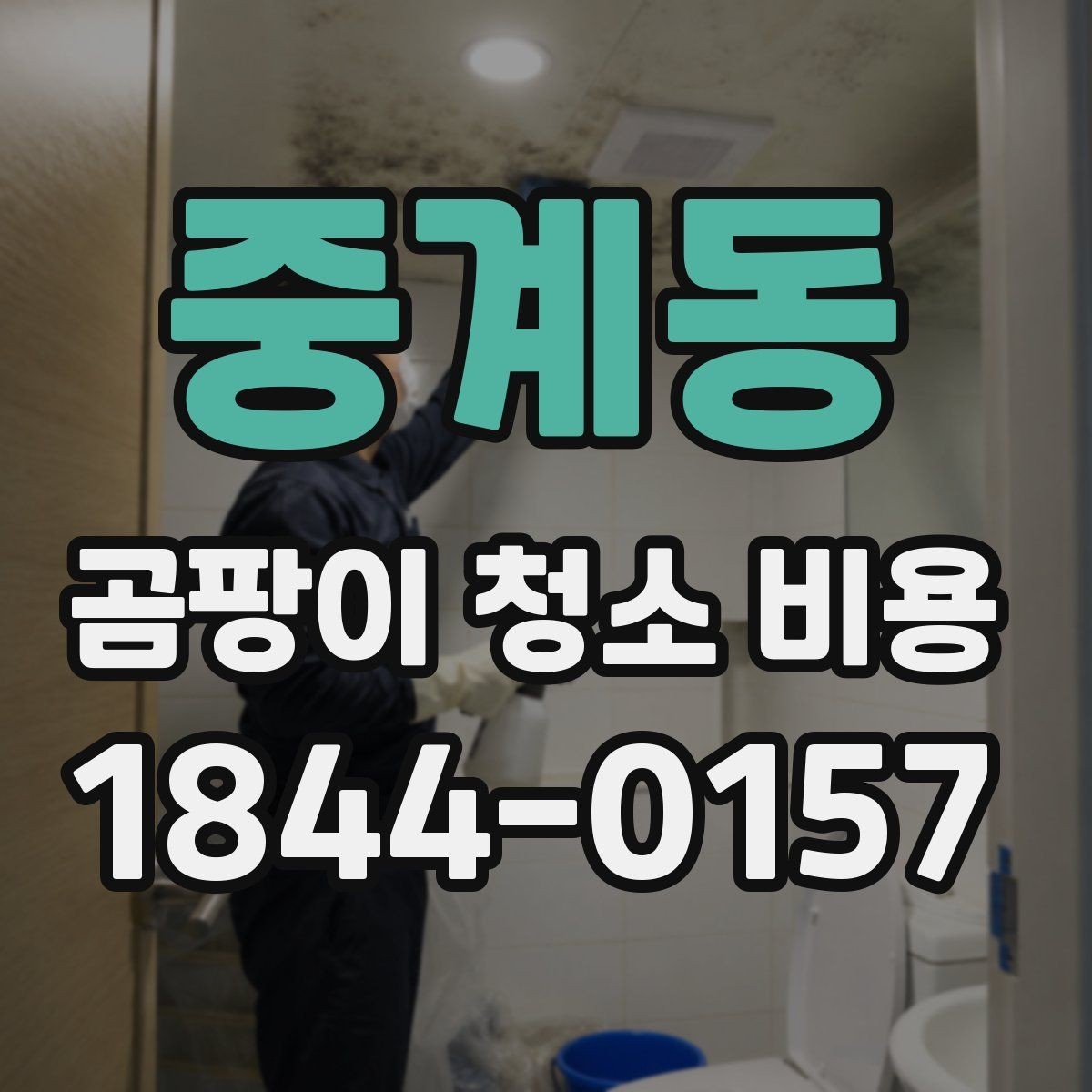 중계동 곰팡이 청소 비용 견적을 받을 때 살펴볼 항목