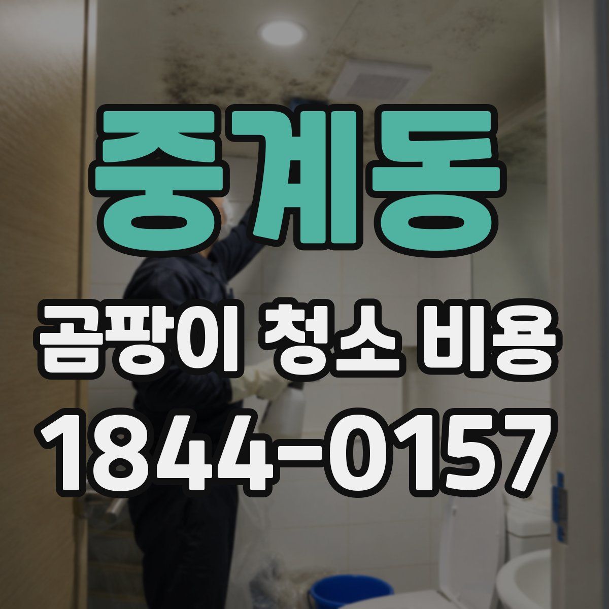중계동 곰팡이 청소 비용