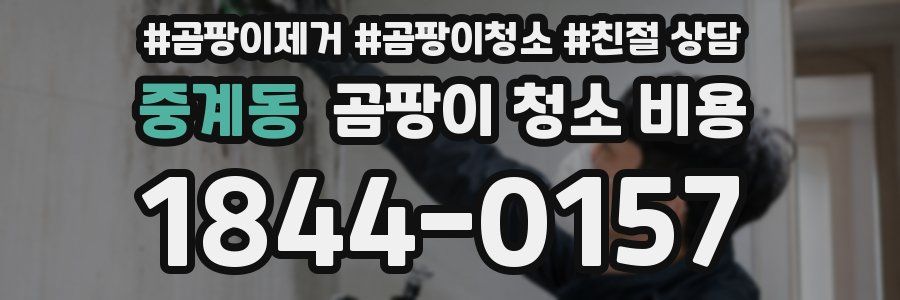 중계동 곰팡이 청소 비용