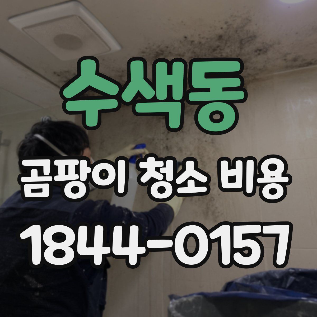 수색동 곰팡이 청소 비용