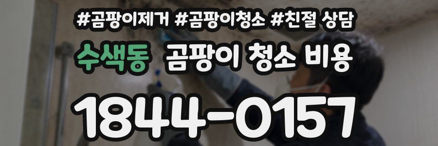 수색동 곰팡이 청소 비용