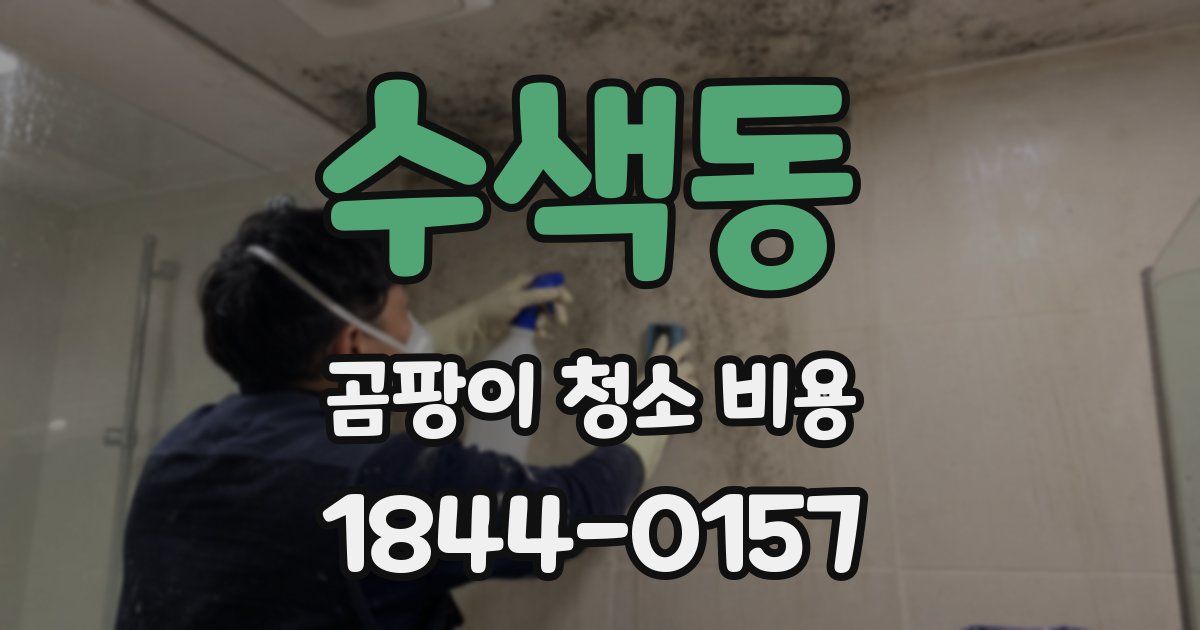 수색동 곰팡이 청소 비용