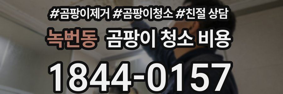 녹번동 곰팡이 청소 비용